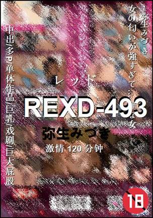 REXD-493120 