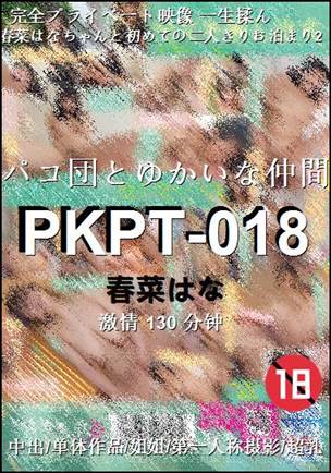 PKPT-018130 
