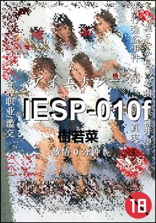 IESP-010f0 分钟