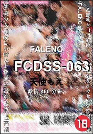 FCDSS-063480 