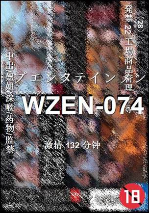 WZEN-074132 