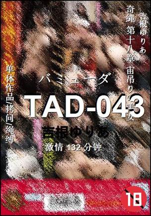 TAD-043132 