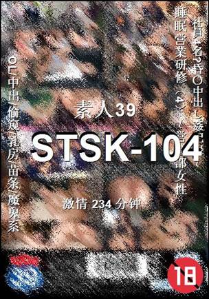 STSK-104234 
