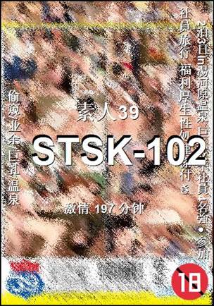 STSK-102197 