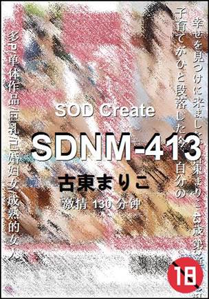 SDNM-413130 