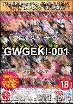 GWGEKI-001310 