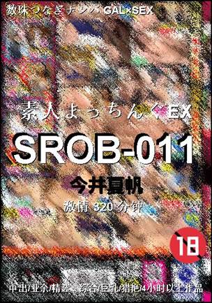 SROB-011320 