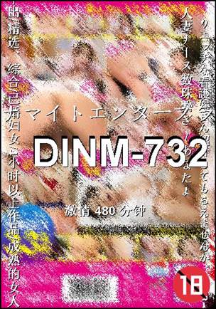 DINM-732480 
