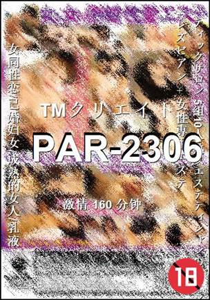 PAR-2306160 