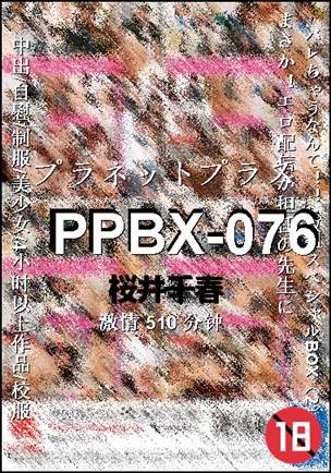 PPBX-076510 