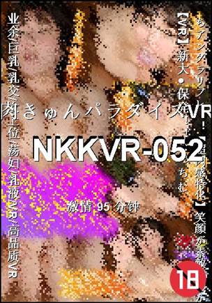 NKKVR-05295 