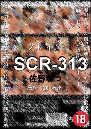 SCR-313120 