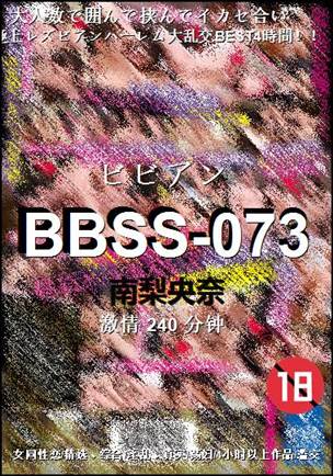 BBSS-073240 