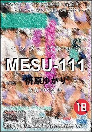 MESU-111105 
