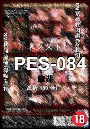 PES-084180 
