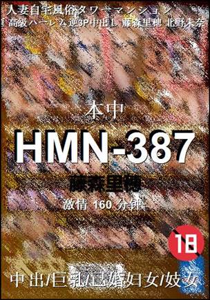 HMN-387160 