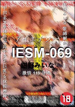 IESM-069115 分钟