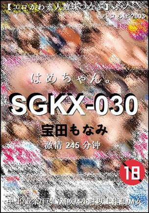 SGKX-030245 