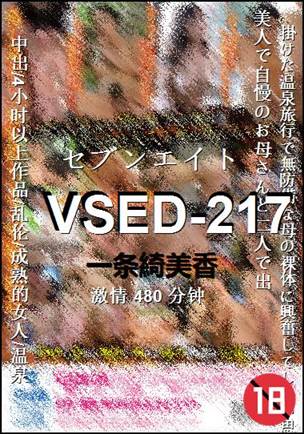 VSED-217480 分钟