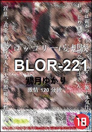 BLOR-221120 