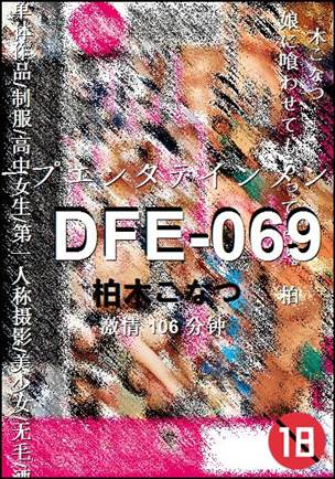 DFE-069106 