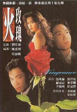 火玫瑰40集