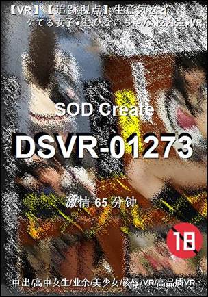 DSVR-0127365 
