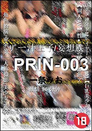 PRIN-00396 