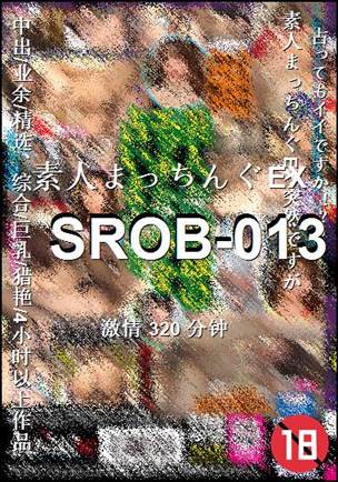 SROB-013320 