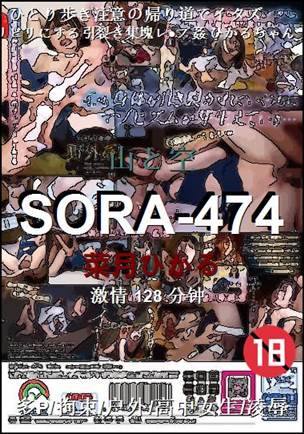 SORA-474128 
