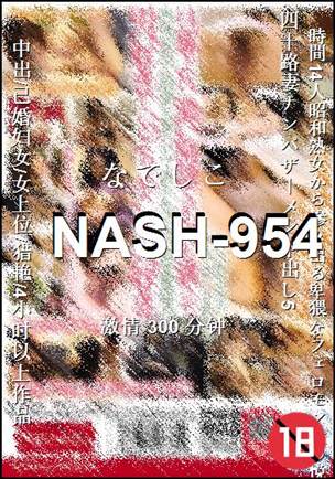 NASH-954300 