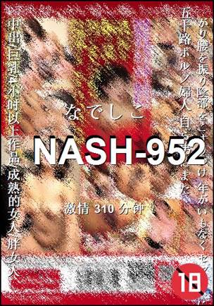 NASH-952310 
