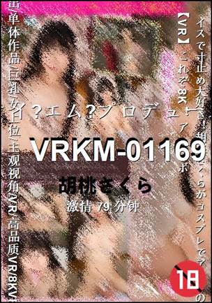 VRKM-0116979 