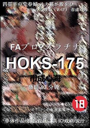 HOKS-17593 
