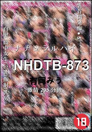 NHDTB-873205 分钟