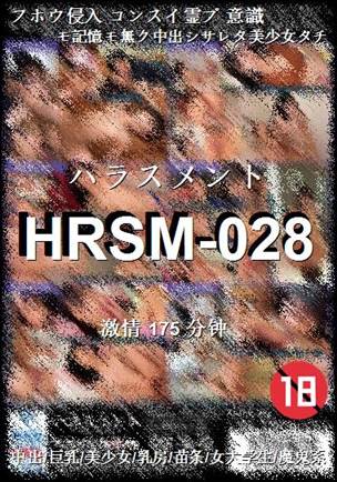 HRSM-028175 