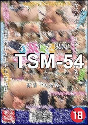 TSM-54130 