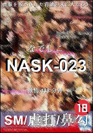 NASK-023138 分钟