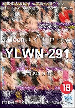 YLWN-291240 