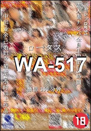 WA-517300 