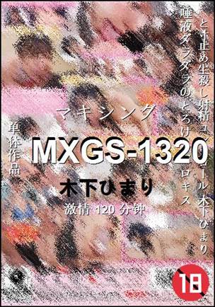 MXGS-1320120 