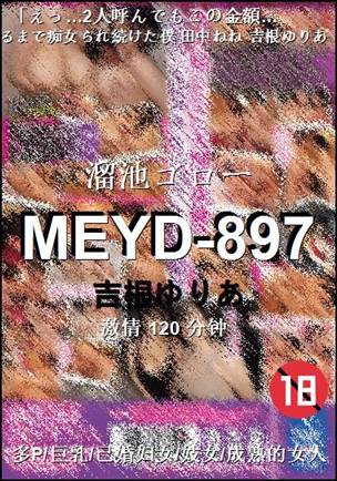 MEYD-897120 