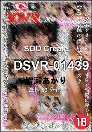DSVR-0143993 