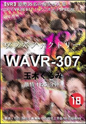WAVR-3071825 