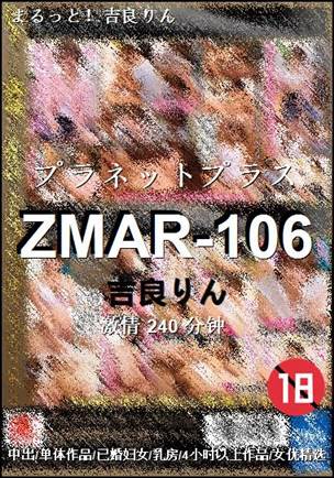 ZMAR-106240 