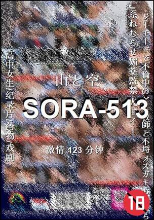 SORA-513123 分钟