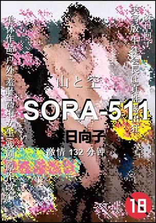 SORA-511132 