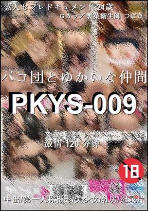 PKYS-009120 