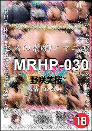 MRHP-030132 