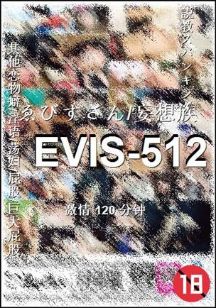 EVIS-512120 